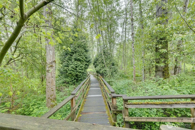 9229 122nd Ct NE Unit 13, Kirkland, WA 98033 - view of home's community with a forest view