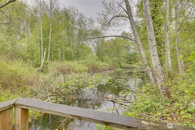 9229 122nd Ct NE Unit 13, Kirkland, WA 98033 - view of nature with a wooded view