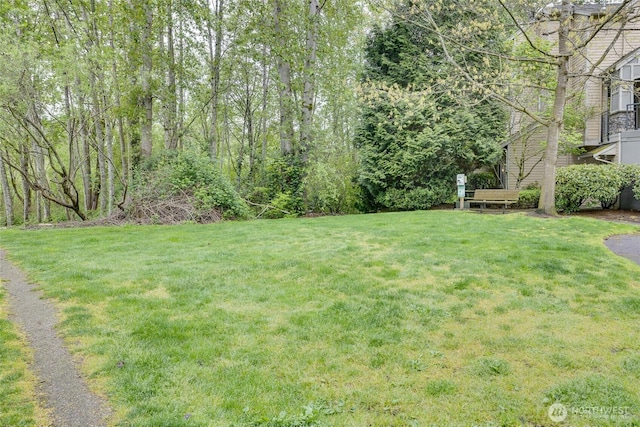 9229 122nd Ct NE Unit 13, Kirkland, WA 98033 - view of yard