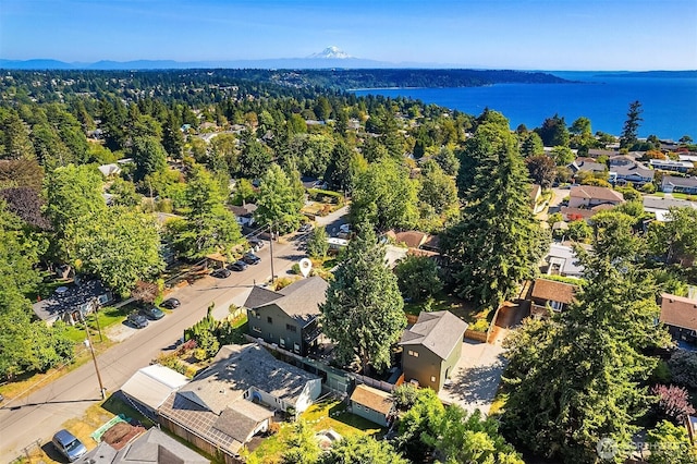 10419 41st Ave SW Unit A & B, Seattle, WA 98146 - aerial view of residential area featuring a nearby body of water