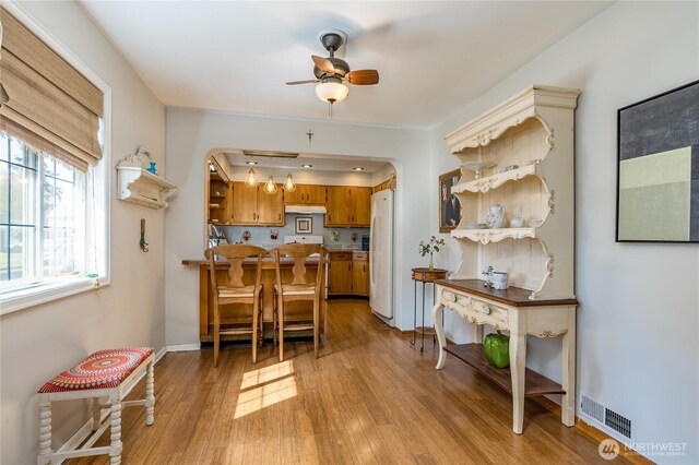 kitchen with light wood-style floors, brown cabinetry, freestanding refrigerator, a ceiling fan, and under cabinet range hood