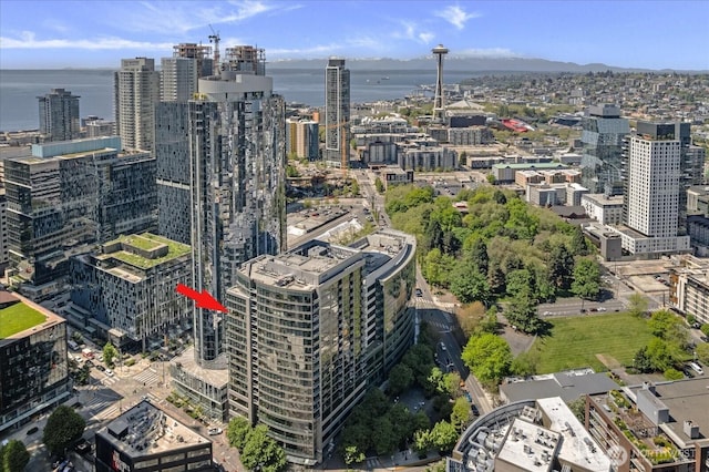 820 Blanchard St Unit 1507, Seattle, WA 98121 - property's view of city with a water view