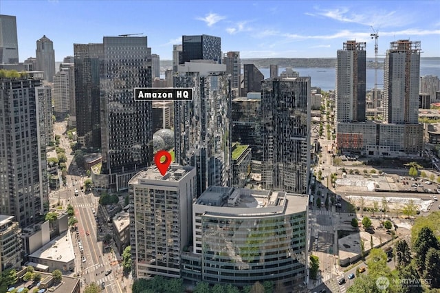 820 Blanchard St Unit 1507, Seattle, WA 98121 - city view with a water view
