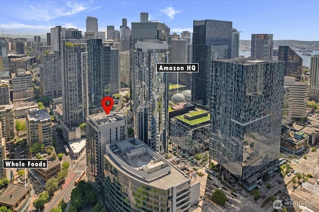 820 Blanchard St Unit 1507, Seattle, WA 98121 - property's view of city