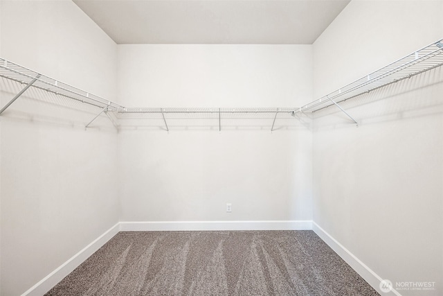 spacious closet with carpet