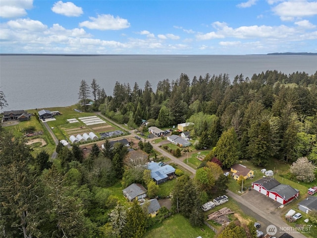16 Harrison St, South Bend, WA 98586 - bird's eye view with a residential view and a water view