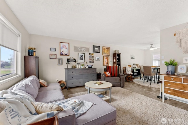 16 Harrison St, South Bend, WA 98586 - living area with light wood-type flooring and a ceiling fan