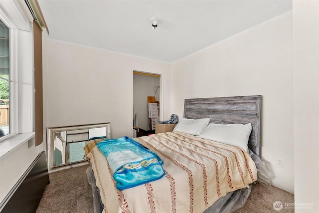 16 Harrison St, South Bend, WA 98586 - bedroom with carpet floors
