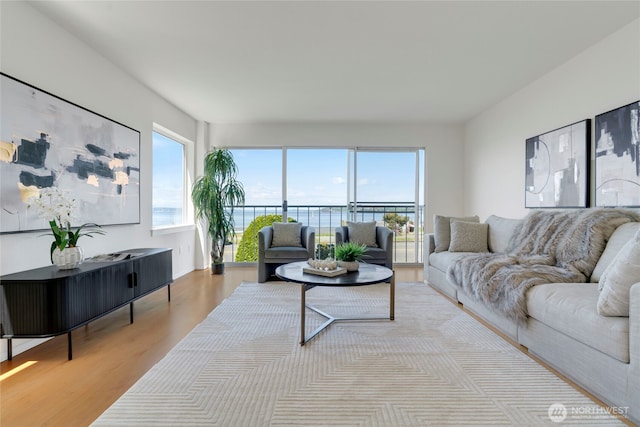 1156 Alki Ave SW Unit 105, Seattle, WA 98116 - living area with a water view and wood finished floors