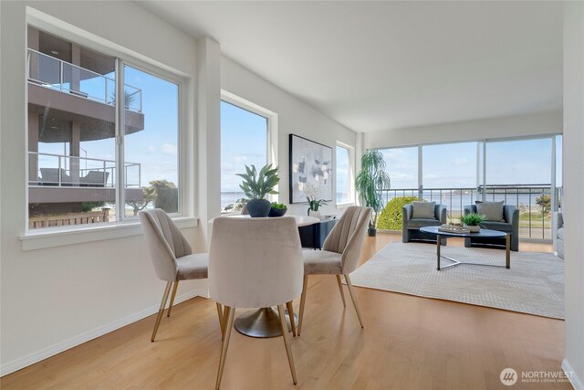 1156 Alki Ave SW Unit 105, Seattle, WA 98116 - sunroom featuring a wealth of natural light