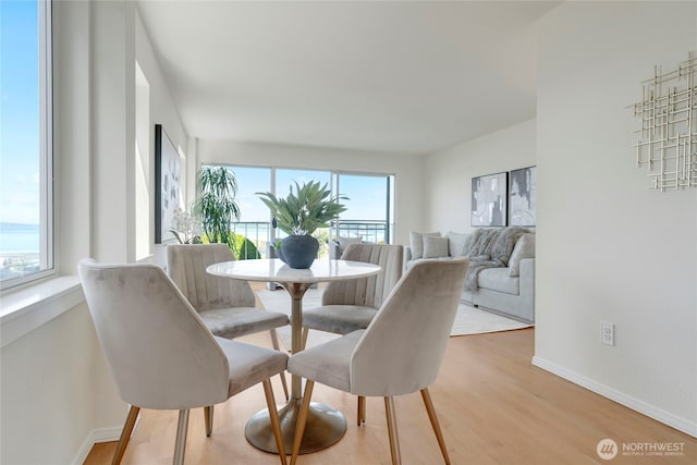 1156 Alki Ave SW Unit 105, Seattle, WA 98116 - dining space featuring light wood-style floors and baseboards