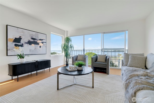 1156 Alki Ave SW Unit 105, Seattle, WA 98116 - living area featuring wood finished floors