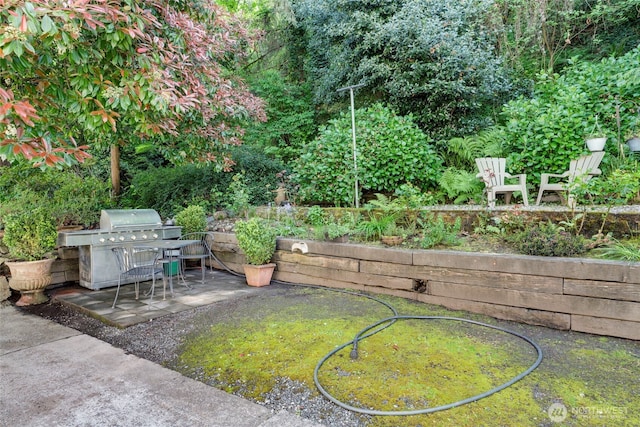 1156 Alki Ave SW Unit 105, Seattle, WA 98116 - view of yard featuring a patio