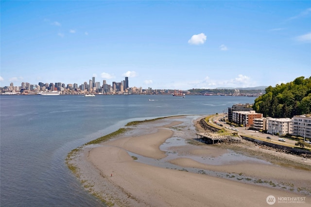 1156 Alki Ave SW Unit 105, Seattle, WA 98116 - water view featuring a view of city and a view of the beach