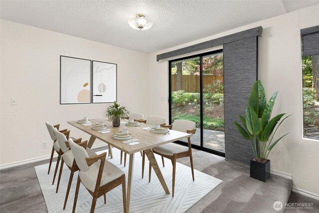 carpeted dining area featuring baseboards and a textured ceiling