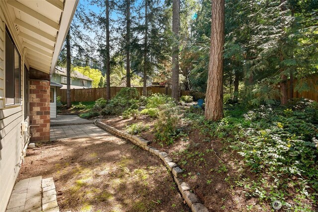 view of yard featuring a fenced backyard and a patio area