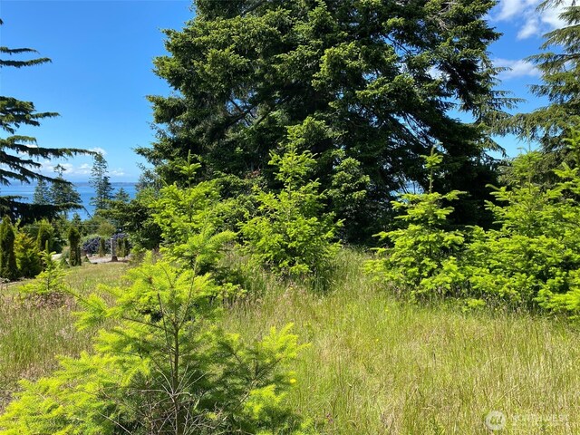 0 Fircrest Ave, Coupeville, WA 98239