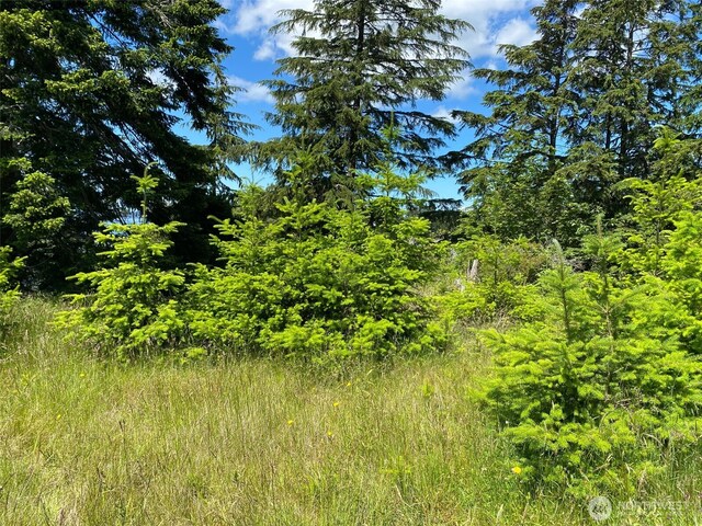 0 Fircrest Ave, Coupeville, WA 98239