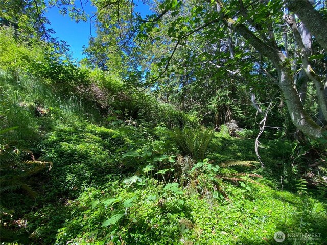 0 Fircrest Ave, Coupeville, WA 98239