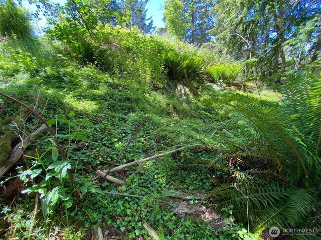 0 Fircrest Ave, Coupeville, WA 98239