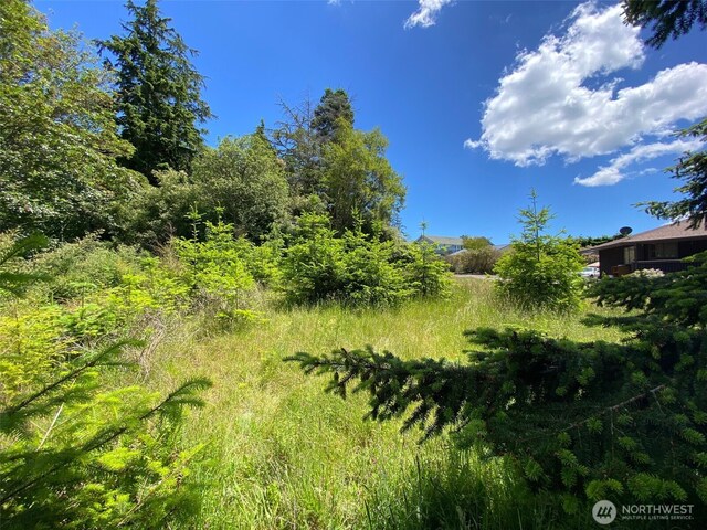 0 Fircrest Ave, Coupeville, WA 98239