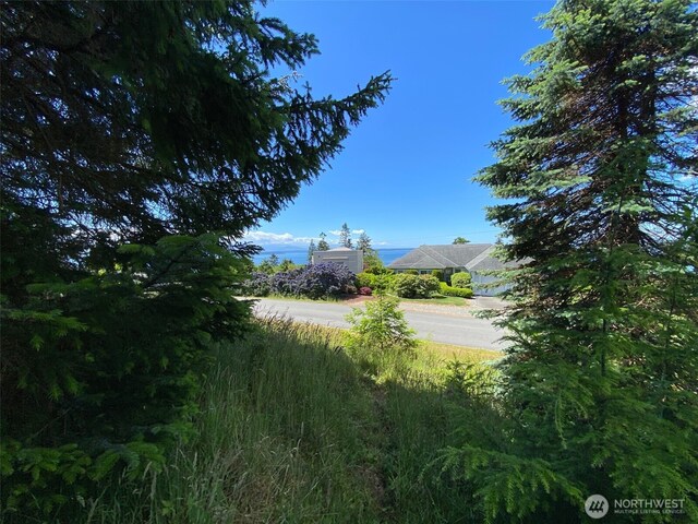 0 Fircrest Ave, Coupeville, WA 98239