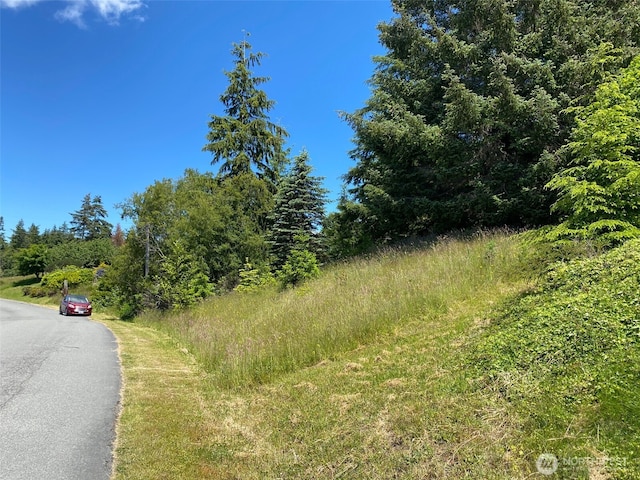 0 Fircrest Ave, Coupeville, WA 98239
