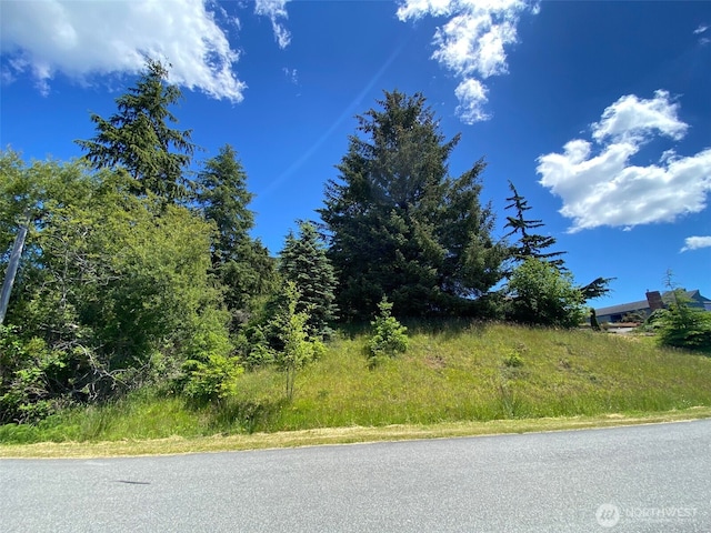 0 Fircrest Ave, Coupeville, WA 98239