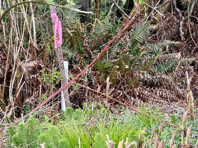 0 Fircrest Ave, Coupeville, WA 98239
