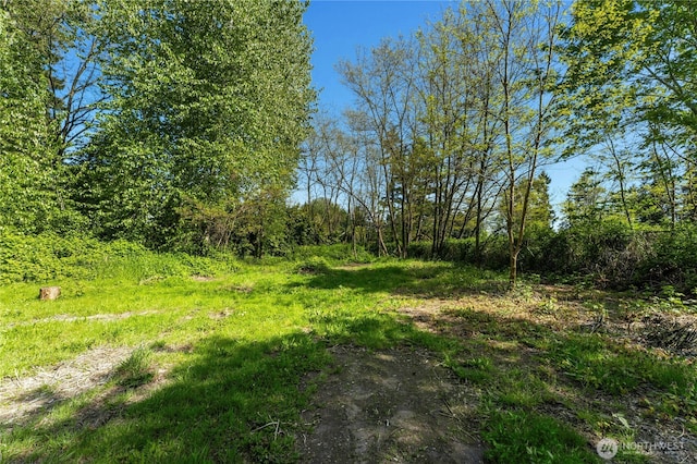 99 Sumner Ave, Sumner, WA 98390 - view of local wilderness