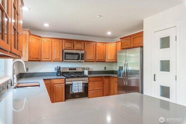 kitchen with recessed lighting, appliances with stainless steel finishes, glass insert cabinets, and a sink