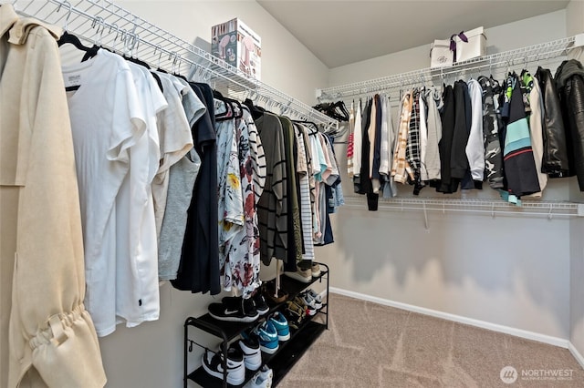 spacious closet featuring carpet