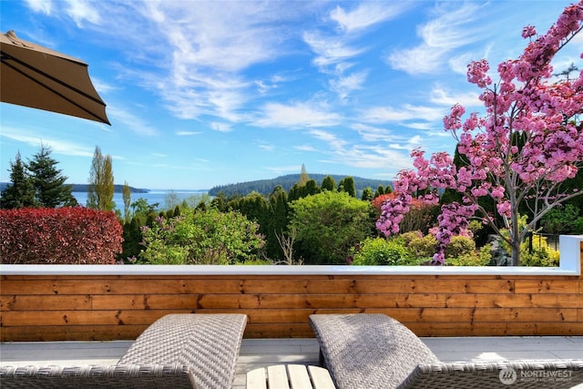 15089 Old Deception Mill Ln, Anacortes, WA 98221 - view of balcony