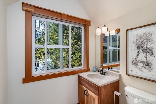 15089 Old Deception Mill Ln, Anacortes, WA 98221 - half bathroom featuring toilet, vaulted ceiling, and vanity