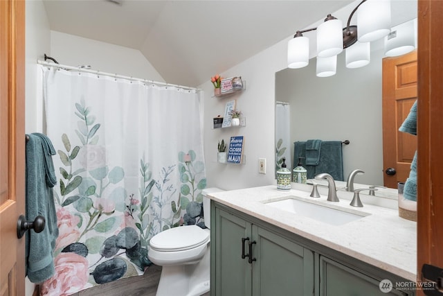 15089 Old Deception Mill Ln, Anacortes, WA 98221 - full bathroom featuring vanity, vaulted ceiling, toilet, and curtained shower