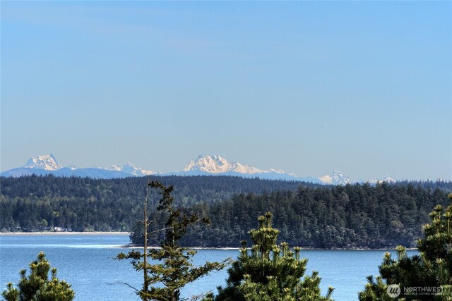 15089 Old Deception Mill Ln, Anacortes, WA 98221 - view of water feature featuring a wooded view