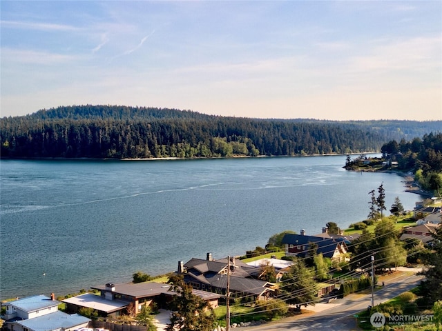 15089 Old Deception Mill Ln, Anacortes, WA 98221 - property view of water featuring a forest view