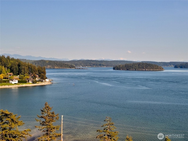 15089 Old Deception Mill Ln, Anacortes, WA 98221 - water view with a mountain view