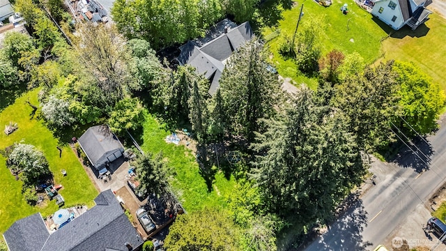 drone / aerial view