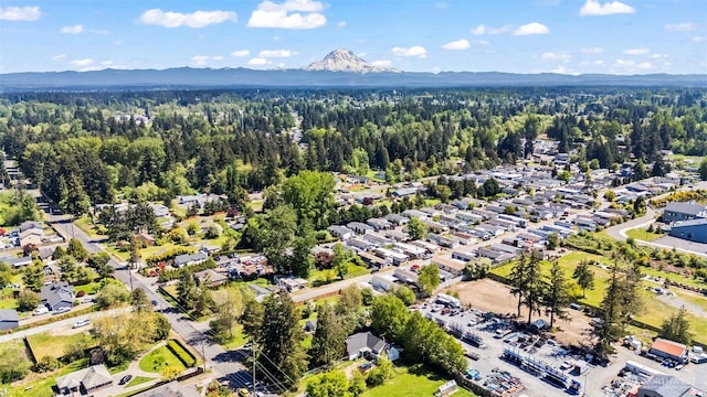 bird's eye view of mountains and a forest