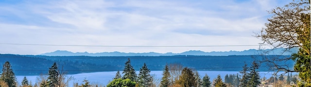 21615 29th Ave S, Des Moines, WA 98198
