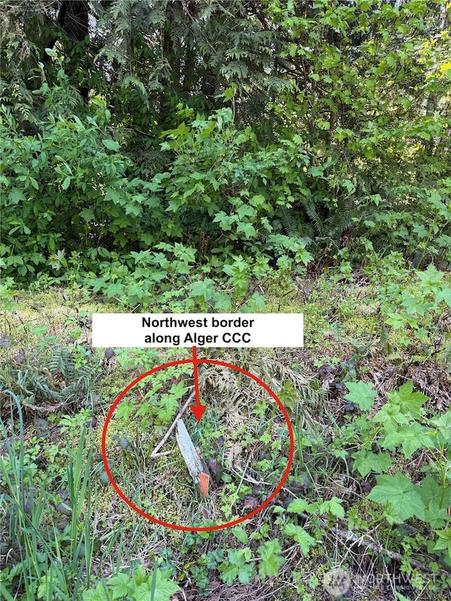 0 Alger Ccc Rd, Sedro Woolley, WA 98284
