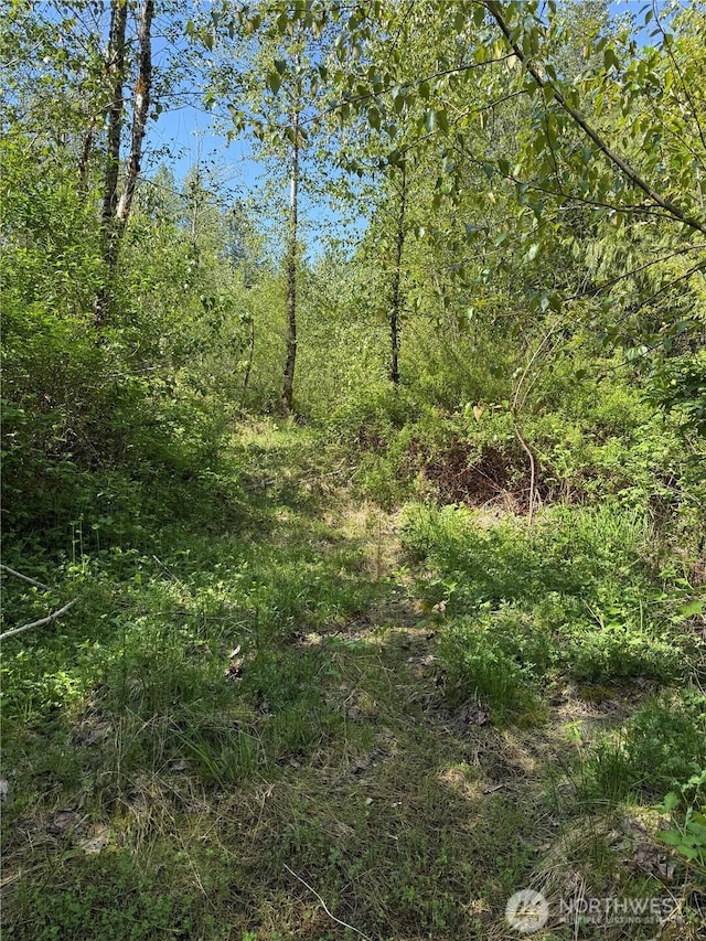 0 Alger Ccc Rd, Sedro Woolley, WA 98284
