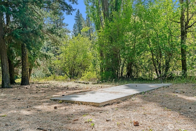 27510 Hwy 97, Cle Elum, WA 98922 - view of yard with a view of trees