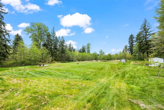 view of yard with a rural view