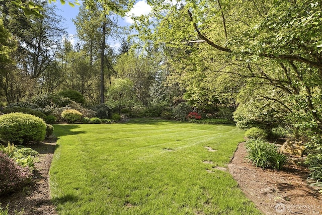 14333 221st Ave NE, Woodinville, WA 98077 - photo 38