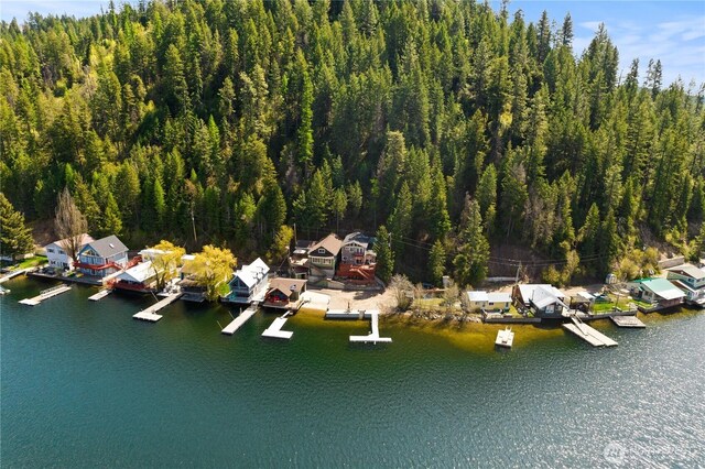 aerial view featuring a water view and a view of trees