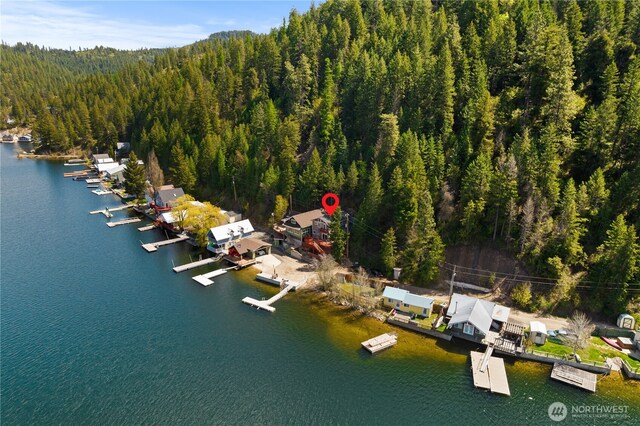 drone / aerial view with a water view and a wooded view