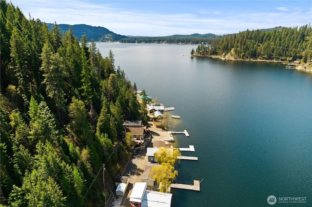 drone / aerial view featuring a water and mountain view and a wooded view