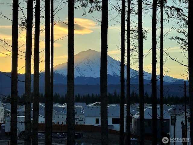 15255 201st Ave E, Bonney Lake, WA 98391 - view of mountain backdrop featuring nearby suburban area